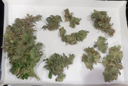 20230810_213606.jpg 20230810_213606.jpg