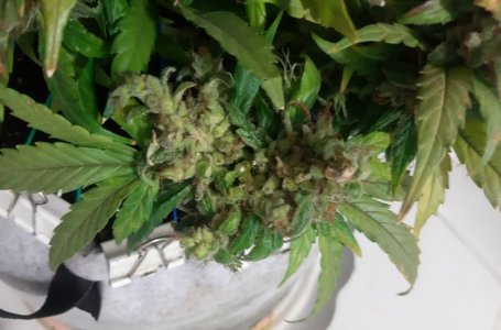 20230827_224212.jpg 20230827_224212.jpg