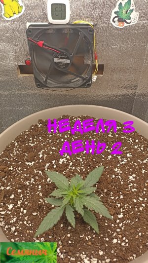 Picsart_23-08-22_07-21-18-948.jpg Picsart_23-08-22_07-21-18-948.jpg