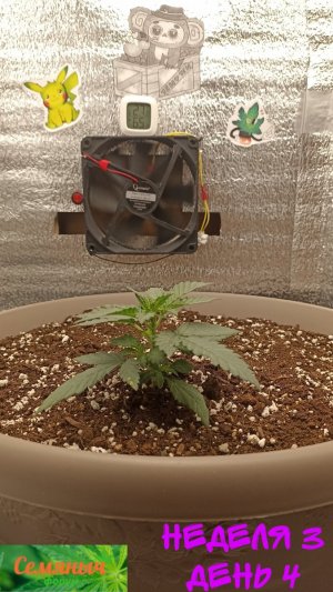 Picsart_23-08-24_12-07-22-608.jpg Picsart_23-08-24_12-07-22-608.jpg