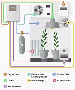 4A675AF9-E269-482C-9BF3-683D5E8EA2D6.jpeg 4A675AF9-E269-482C-9BF3-683D5E8EA2D6.jpeg