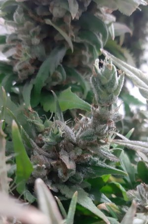 20230828_224249.jpg 20230828_224249.jpg