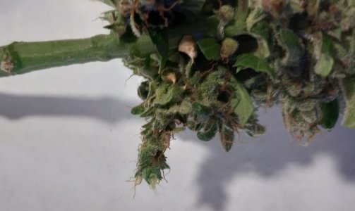 20230812_200206.jpg 20230812_200206.jpg