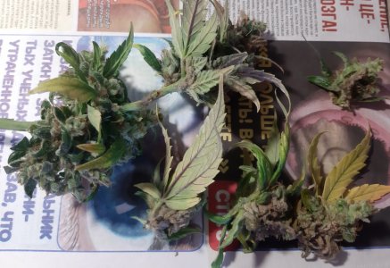 20230828_224442.jpg 20230828_224442.jpg