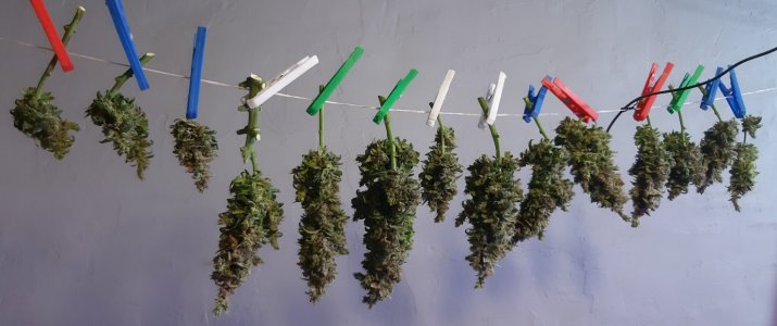 20230829_054827.jpg 20230829_054827.jpg