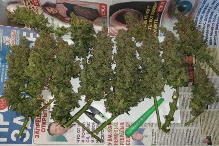 20230829_054711.jpg 20230829_054711.jpg