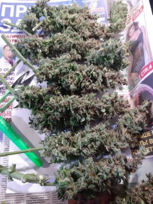 20230829_054755.jpg 20230829_054755.jpg