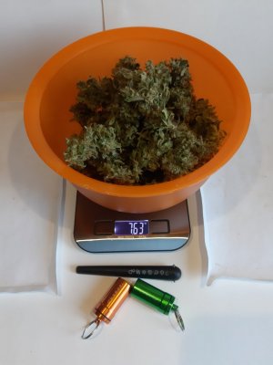 20230830_214315.jpg 20230830_214315.jpg