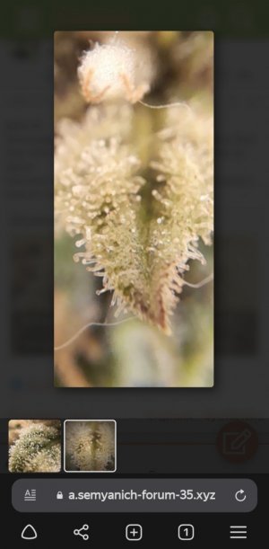 Screenshot_20230527-221031_Browser.jpg Screenshot_20230527-221031_Browser.jpg