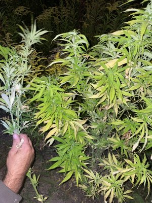 FB8EAB82-2EE4-46E6-928C-6343A12DD9EF.jpeg FB8EAB82-2EE4-46E6-928C-6343A12DD9EF.jpeg