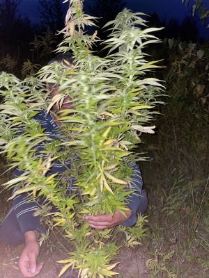 30842FF0-FBE2-4C6F-95F6-FD57E9F6D40E.jpeg 30842FF0-FBE2-4C6F-95F6-FD57E9F6D40E.jpeg