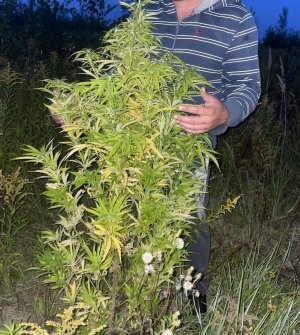 C1EB6466-15D7-4E0C-A0B3-C4C507B83022.jpeg C1EB6466-15D7-4E0C-A0B3-C4C507B83022.jpeg