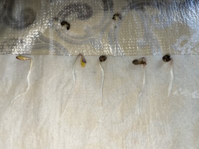 0AE3A613-6C62-4457-BA2B-7EBE100A14B7.jpeg 0AE3A613-6C62-4457-BA2B-7EBE100A14B7.jpeg