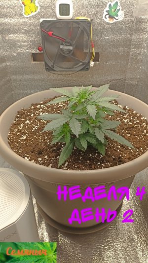 Picsart_23-08-29_07-46-21-237.jpg Picsart_23-08-29_07-46-21-237.jpg