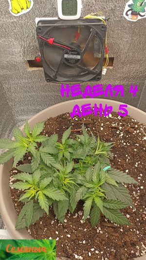 Picsart_23-09-01_07-45-01-547.jpg Picsart_23-09-01_07-45-01-547.jpg