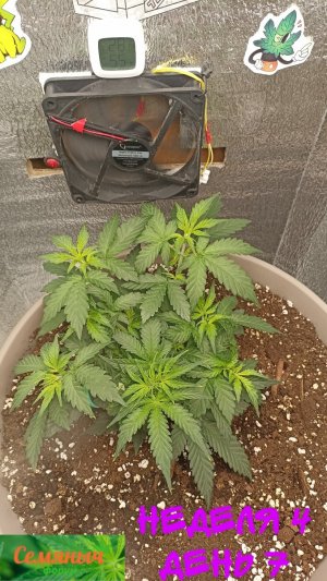 Picsart_23-09-03_06-50-33-292.jpg Picsart_23-09-03_06-50-33-292.jpg