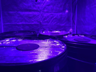 41B2C4A5-35CC-4DE9-827B-8BFC9B3E3621.jpeg 41B2C4A5-35CC-4DE9-827B-8BFC9B3E3621.jpeg