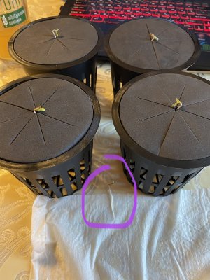 6A7FD09B-D991-4605-9251-B7E6241C9625.jpeg 6A7FD09B-D991-4605-9251-B7E6241C9625.jpeg