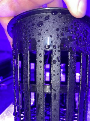 1795FEEE-0D1B-46E4-929C-490DC7DC0CE5.jpeg 1795FEEE-0D1B-46E4-929C-490DC7DC0CE5.jpeg