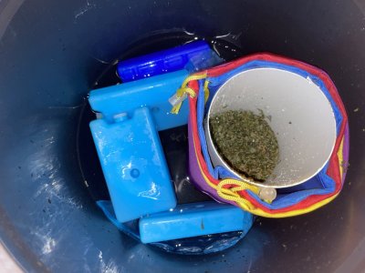 D2A51F20-ABCE-4E46-8D30-85A439BF35A3.jpeg D2A51F20-ABCE-4E46-8D30-85A439BF35A3.jpeg