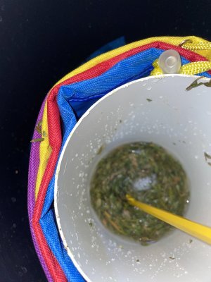 EE4E7FBF-BA8B-441F-B6D7-ADA578BAE4F8.jpeg EE4E7FBF-BA8B-441F-B6D7-ADA578BAE4F8.jpeg