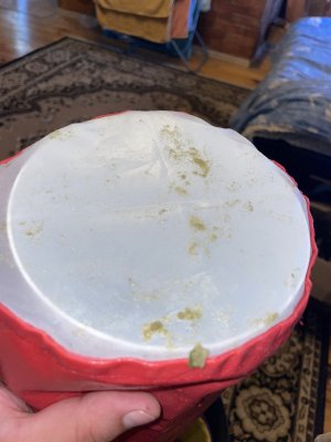 A1CBE2C0-883D-416C-8959-358DB7C1A3B7.jpeg A1CBE2C0-883D-416C-8959-358DB7C1A3B7.jpeg