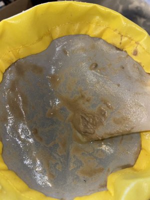 5E394C93-DED6-4C12-A2AA-76CEF4C1781C.jpeg 5E394C93-DED6-4C12-A2AA-76CEF4C1781C.jpeg