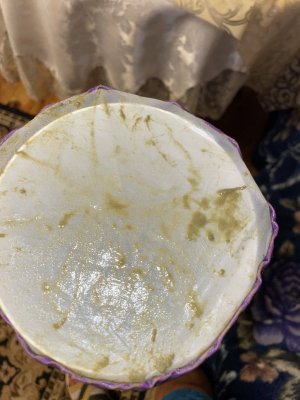 1F061347-A2AF-46C9-93A0-31AD79C37FD5.jpeg 1F061347-A2AF-46C9-93A0-31AD79C37FD5.jpeg