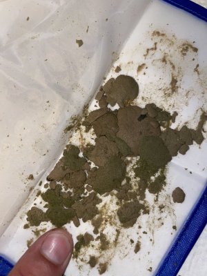 632D07E5-0600-4F76-BA56-575B1C5980EF.jpeg 632D07E5-0600-4F76-BA56-575B1C5980EF.jpeg