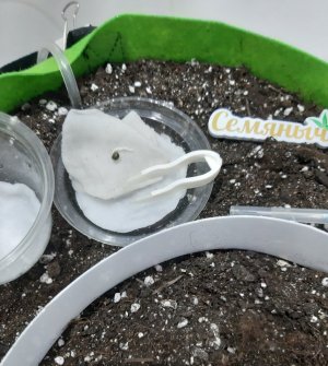 20230907_192329.jpg 20230907_192329.jpg