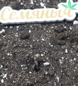 20230521_203746.jpg 20230521_203746.jpg