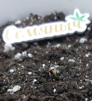 20230521_203910.jpg 20230521_203910.jpg