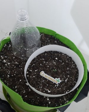 20230907_201001.jpg 20230907_201001.jpg