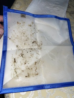 D5FFB04E-27A0-410C-B140-9CA540558823.jpeg D5FFB04E-27A0-410C-B140-9CA540558823.jpeg