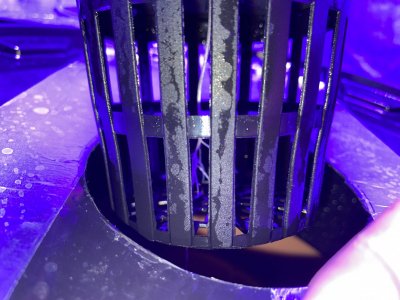 4B6DE453-EE50-4AF5-A072-0F3A7CEE87DF.jpeg 4B6DE453-EE50-4AF5-A072-0F3A7CEE87DF.jpeg