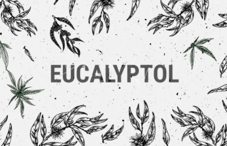 1694097471637.png 1694097471637.png