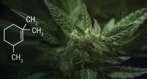 1694097538119.png 1694097538119.png