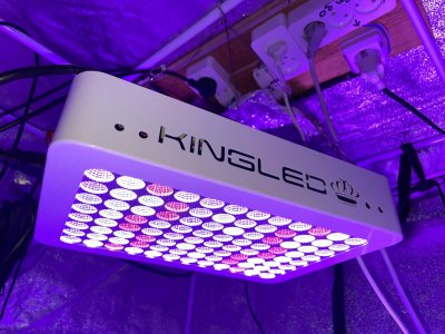 E620E0D0-7DBB-4F82-8CB5-C4795B1C6F61.jpeg E620E0D0-7DBB-4F82-8CB5-C4795B1C6F61.jpeg