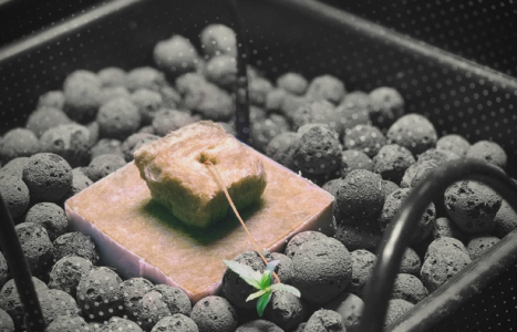 1694186069341.png 1694186069341.png