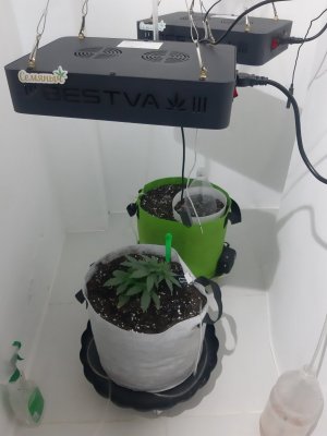 20230909_121649.jpg 20230909_121649.jpg