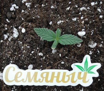 20230526_161906.jpg 20230526_161906.jpg