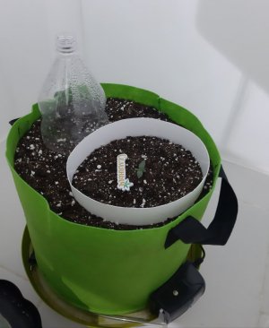 20230909_122252.jpg 20230909_122252.jpg