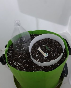 20230909_123044.jpg 20230909_123044.jpg