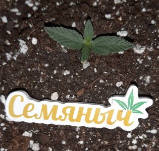 20230909_123027.jpg 20230909_123027.jpg