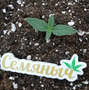 20230909_123010.jpg 20230909_123010.jpg