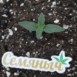 20230528_160427.jpg 20230528_160427.jpg