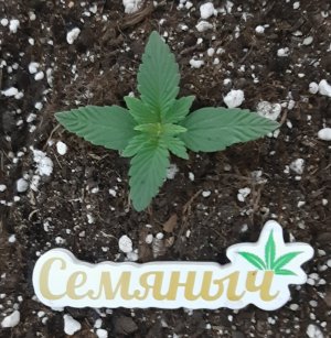 20230529_175704.jpg 20230529_175704.jpg