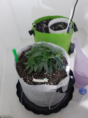 20230909_125952.jpg 20230909_125952.jpg