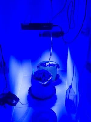 20230909_125937.jpg 20230909_125937.jpg