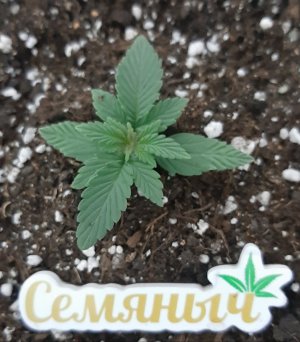 20230910_115726.jpg 20230910_115726.jpg